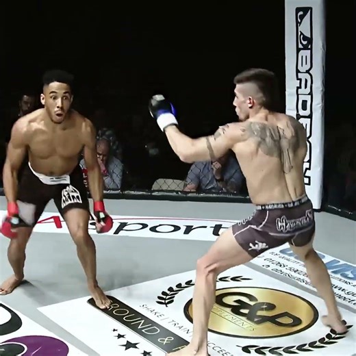 ONE SHOT. GAME OVER... #ufc #mma #knockout #combat #fighting