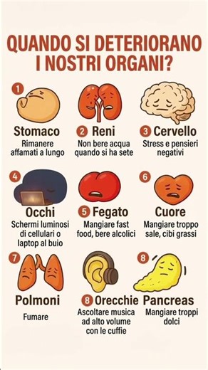 Quando si deteriorano i nostri organi #salute #benessere #corpo #curiosità #nutrizione #prevenzione
