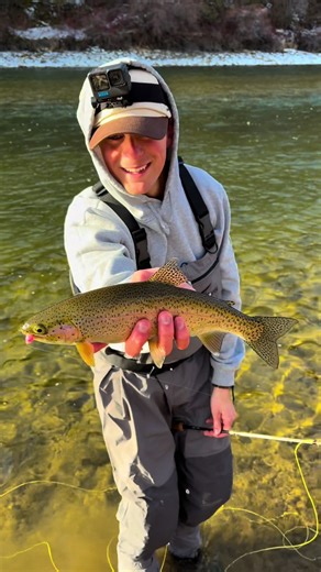 A Perfect Day of Fly Fishing on the Idaho River