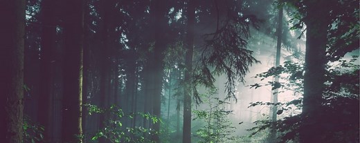 Explore the Global Green Economy Index™ (GGEI) data and insight