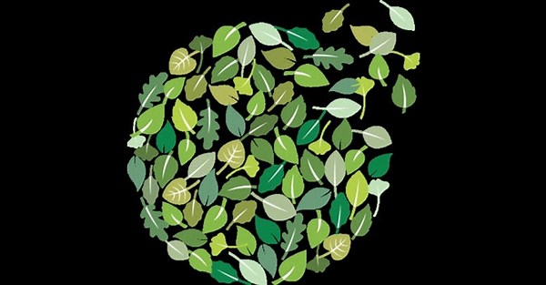 ESG in Technology, Media & Telecommunications: Driving value through sustainability