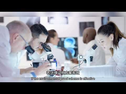 Gene seal is not a sci-fi prop but a vivid nickname for the epigenetic mechanism of DNA methylation