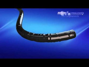 Video Olympus Evis Exera III Español