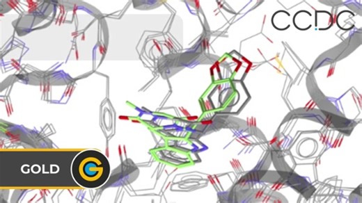 18 reactions |  Protein–Ligand Docking with GOLD.  This quick preview video introduces you to the protein–ligand docking software GOLD, tells you about its main features, and shows you what a docking run looks like. Find out more https://ccdc-info.com/49CyKyZ #DockingSoftware #VirtualScreening #DrugDiscovery | Cambridge Crystallographic Data Centre (CCDC) | Facebook