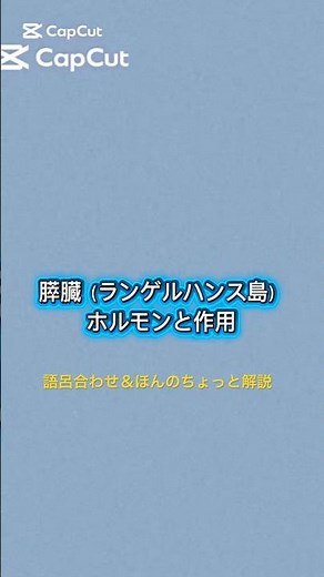 生理学 内分泌系 膵臓（ランゲルハンス島） #言語聴覚士st国家試験対策 #語呂合わせ