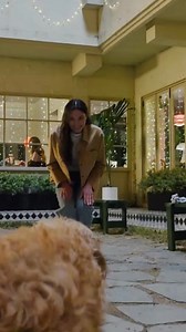 1.3K views · 161 reactions | Life opens up with the new Galaxy S25 Ultra. Pre-order now and save up to $1,200+ with instant trade-in credit and more. | Samsung | Facebook