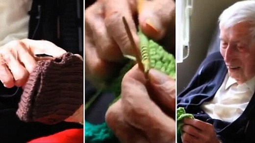No idle hands - Australia's oldest man knits jumpers for penguins