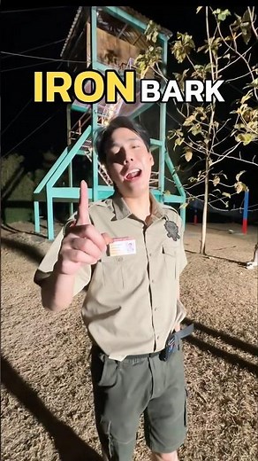 What does a typical day for a forest ranger? 👮🏻‍♂️🪵 #spd #fearstofathom #ironbarklookout