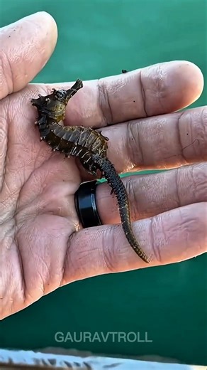 Stunning Animal Growth transformation! 💀