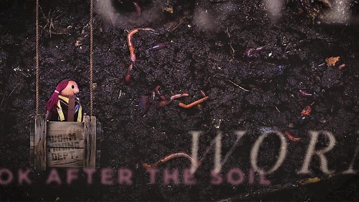 Insect inspection - BBC Bitesize