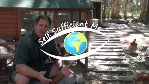 Ducks Mating Sex Khaki Campbell Breed