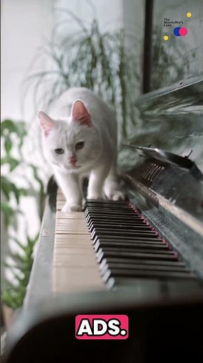 Why Cliffhangers Keep You Hooked