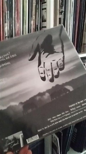 Atención a estos 2 discos de vinilo Punk Rock