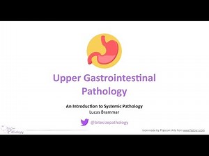 Upper Gastrointestinal (GI) Pathology - Introduction to Systemic Pathology