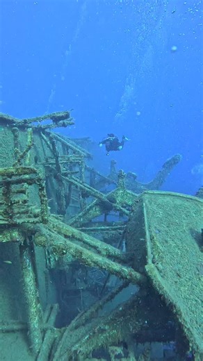 Dive.Discover.Develop. 🤿🤿🤿 Dive - This one’s simple. It’s about getting underwater and enjoying the ocean for what it is. The peace, the colours, the feeling of weightlessness. It’s like nothing else. It’s also about caring for that world, respecting the environment, and leaving every dive site as you found it, or better. 🧐🧐🧐 Discover - Diving isn’t just about what you see underwater, it’s also about what you find out about yourself. Maybe you love wrecks, maybe reefs. Maybe you’re drawn t