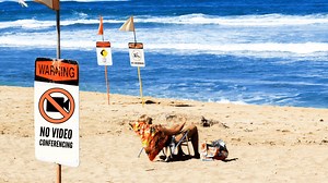 Funny zoom video backgrounds free