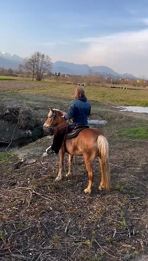 7K views · 198 reactions | Yankee Ranch on Reels | Facebook