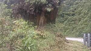 Mitos y leyendas ... Nuestros mitos de la Amazonia... La piedra del Gringo ... | Miguel Belisario Murillo Chica