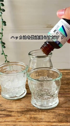 捨てないで！余った保冷剤が「最強の防虫剤」に激変✨置くだけで“あいつ”を寄せ付けない神ワザ！
