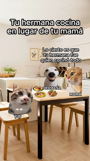 2.4M views · 74K reactions | Cuando tu hermana cocina en lugar de tu mamá  #funnyvideos #mamaluchona #storytime | CaT stories HuB | Facebook