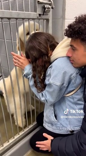 Emotional Shelter Dog Rescue Story Unfolds