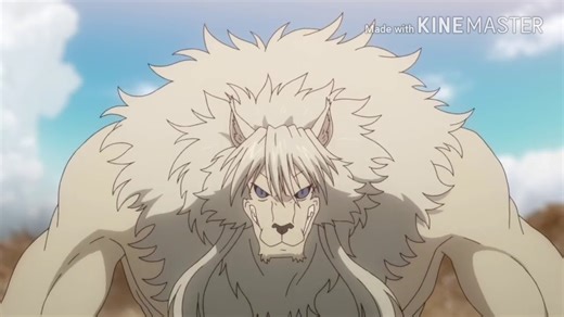 人狼灰斗（uq holder！）