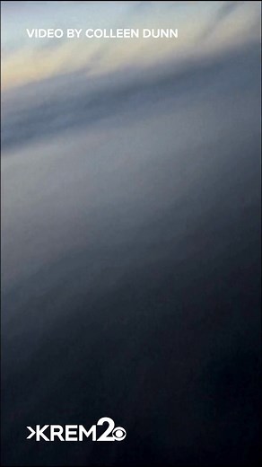 125K views · 913 reactions | Colleen Dunn was walking her dogs on the...