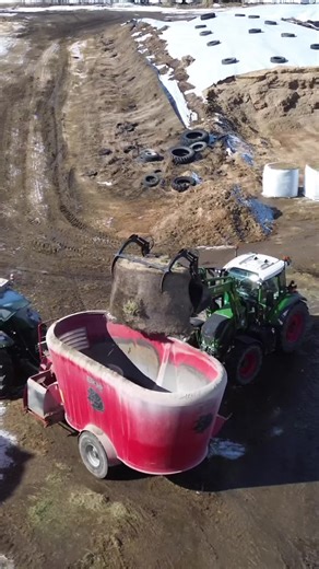 Dairy Farmer's Guide to Silage Feeding Techniques