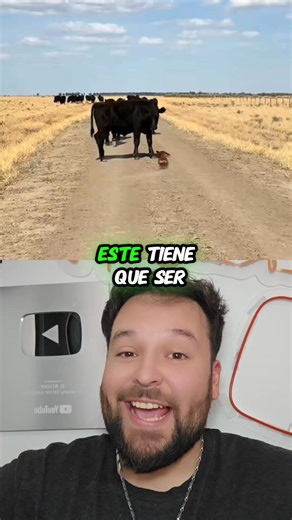 37K views · 627 reactions | Que #Perrito tan valiente 來 | El RICHY | Facebook
