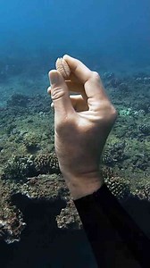 Picking Trash Underwater
