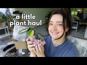 A Little Plant Mail (Mostly Hoya) & My New Plant Routine ✨🌱