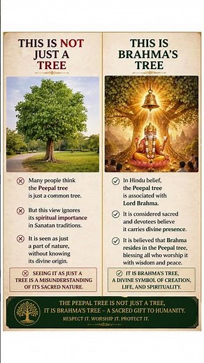 What is Brahma’s Tree 🌳 The Sacred Peepal Tree Explained #SanatanDharma #PeepalTree #LordBrahma