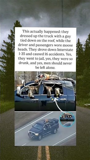 This Is Why Drunk Driving Is Dangerous 🚫🍺