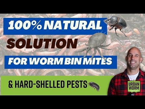 100% Natural Way to Kill Mites & Hard-Shelled Pests in Your Worm Bin