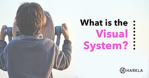 What is the visual system?