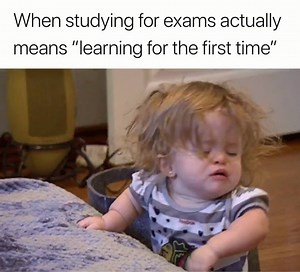 😭 | Humor State University