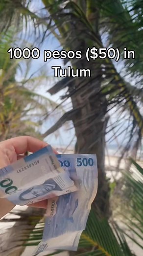 travelbunji on TikTok