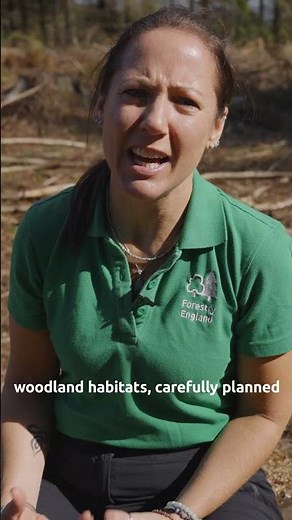 What role does tree felling play in keeping a forest healthy?