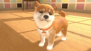 Little Friends: Dogs & Cats coming west this spring