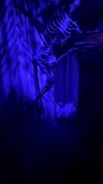 Mid summer scream fear farm walk-through maze bite
