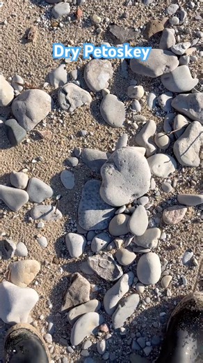 Just get #petoskey stones wet in #lakemichigan the patterns really show! #chicksthatrock #rockhound