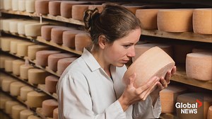 Best cheese in Quebec