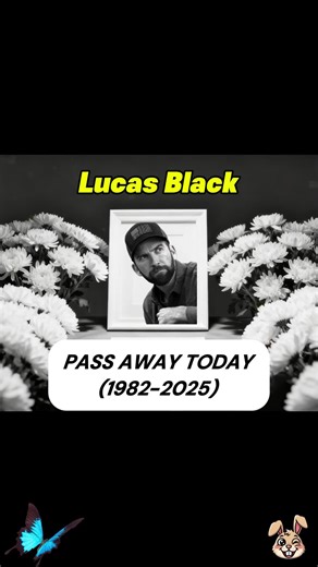 The Truth About Lucas Black's Journey Post-NCIS