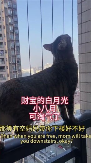 Treasure s girlfriend little August is growing up. Sometimes August runs around to avoid b