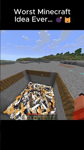 Worst Minecraft Idea Ever 💣🐱 #minecraft #minecraftmemes #minecraftshorts #shorts #fyp #viral #gaming