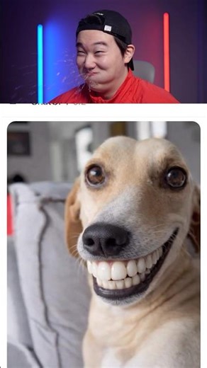 Try Not to Laugh Challenge 1734 🤣 #funny ⁠#shorts #viral