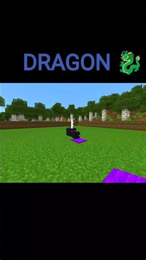 Ender dragon khoon 🐉