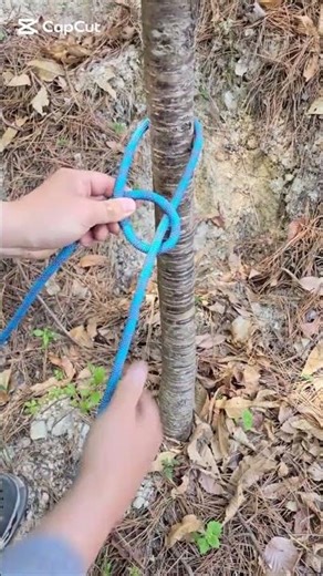 How to Tie a Secure Knot Around a Tree | Step-by-Step Rope Knot Tutorial