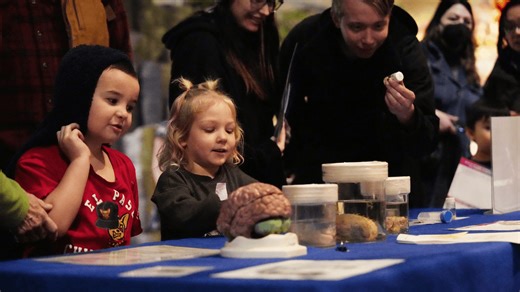 Touch a real brain as 'BrainFest' returns to Seattle's Pacific Science Center