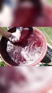 Jello Pool Party! Epic DIY Project (Phineas & Ferb) #shorts